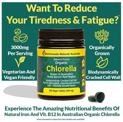 BioGenesis Chlorella Tablets, 600 Tablet Count (500mg)