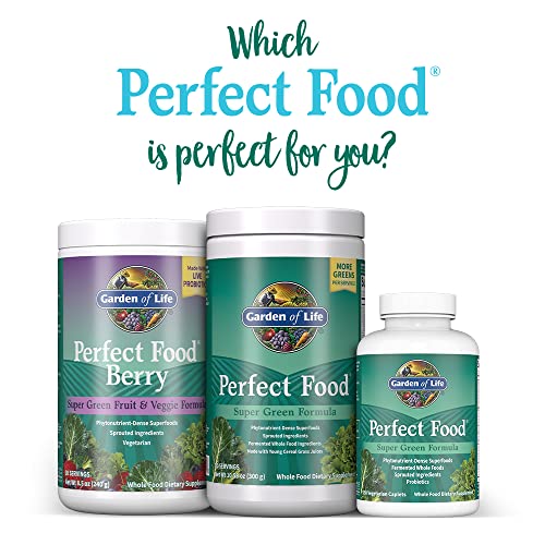 Garden of Life Perfect Food Super Green Formula - 14 Servings | 45 Superfoods, Greens