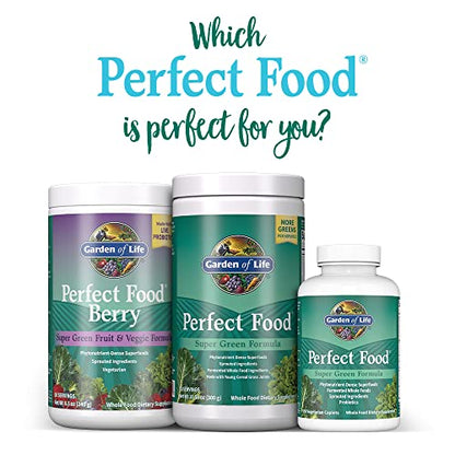 Garden of Life Perfect Food Super Green Formula - 14 Servings | 45 Superfoods, Greens