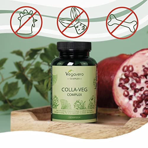 Vegavero Vegan Collagen Supplement | 2000mg | Complex with L-Lysine, L-Proline, Vitamin C (Acerola) & Superfoods Extracts | NO Additives, Lab-Tested | 120 Capsules