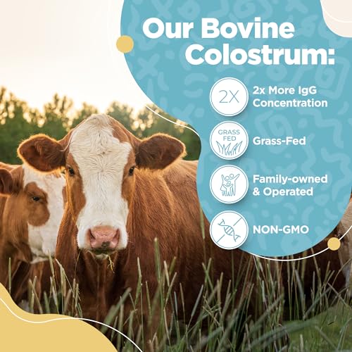 Bovine Colostrum Powder - 40% IgG Highly Concentrated Pure Bovine Colostrum