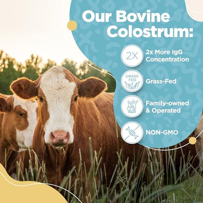 Bovine Colostrum Powder - 40% IgG Highly Concentrated Pure Bovine Colostrum