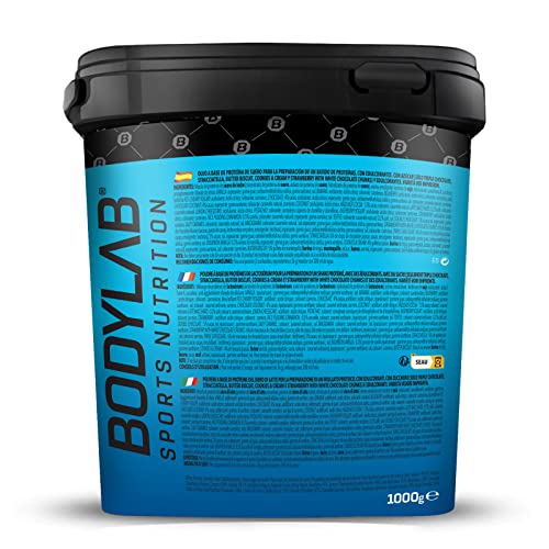 Bodylab24 Whey Protein Powder Milk Chocolate 1kg, Protein-Shake for Your Workout