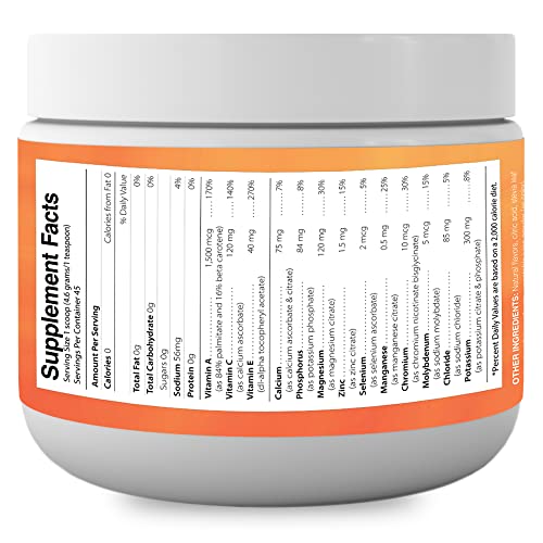 Electrolyte Powder - Refreshing Workout Recovery Electrolytes, Sugar Free, Gluten Free