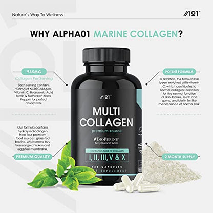 Multi Collagen Protein Capsules - Types I, II, III, V & X - Wild Caught Marine, Grass Fed Bovine, Eggshell & Free-Range Chicken Collagen Powder