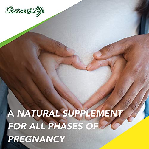 NaturesPlus Source of Life Prenatal - 800 mcg Folate, 180 Vegetarian Tablets