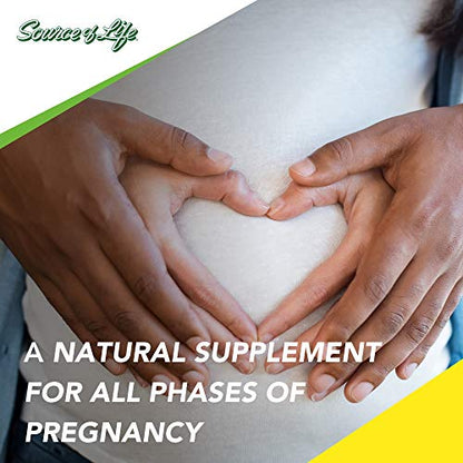 NaturesPlus Source of Life Prenatal - 800 mcg Folate, 180 Vegetarian Tablets