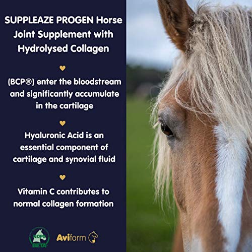 Aviform SUPPLEAZE PROGEN Horse Joint Supplement with Hydrolysed Collagen 1kg