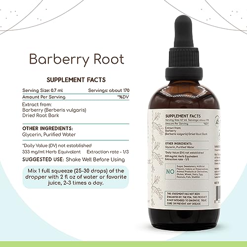 Barberry Root B120 Alcohol-Free Herbal Extract Tincture, Concentrated Liquid Drops Natural Barberry