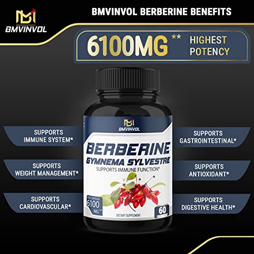 BMVINVOL 5-in-1 Berberine Supplement 6100mg with Ceylon Cinnamon, Gymnema Sylvestre