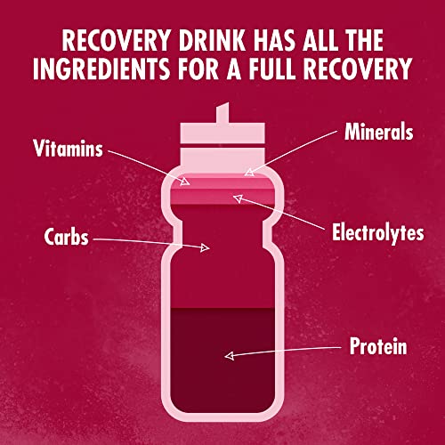 HIGH5 Recovery Drink | Whey Protein Isolate | Promotes Recovery | (Berry, 450g)