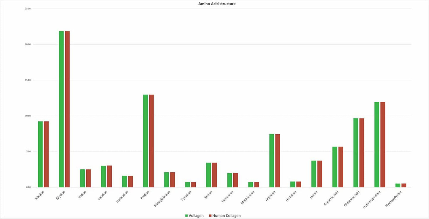 Vollagen® Advanced Vegan Collagen Powder - Amino Acid Complex in Ratio of Collagen