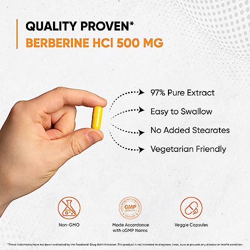 Sandhu's Berberine HCL Supplement 500mg per capsule with 97% Pure Berberis Aristata