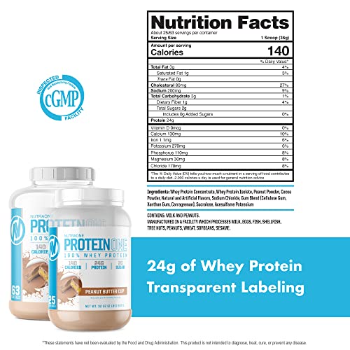 NutraOne ProteinOne Whey Protein Promote Recovery and Build Muscle with a Protein