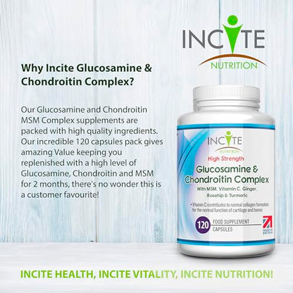 Glucosamine and Chondroitin High Strength Complex with MSM, Vitamin C, Ginge