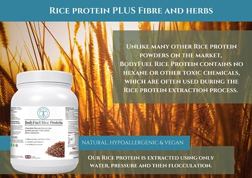 Complementary Supplements | BodyFuel Brown Rice Protein Powder Plus Chicory, Green Tea