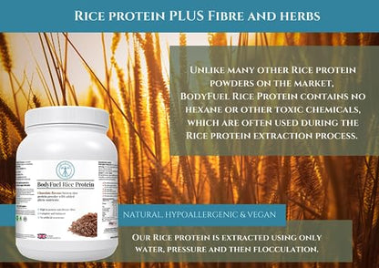 Complementary Supplements | BodyFuel Brown Rice Protein Powder Plus Chicory, Green Tea