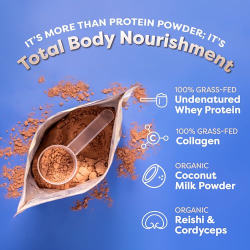 FlavCity Protein Powder Smoothie, Chocolate - 100% Grass-Fed Whey Protein Smoothie