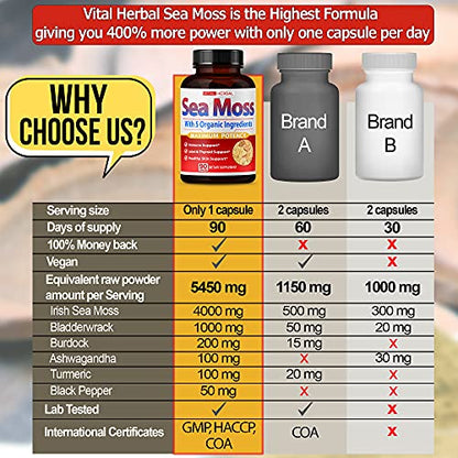 VITAL HERBAL Irish Sea Moss Capsules Equivalent to 5450mg - Maximum Potency