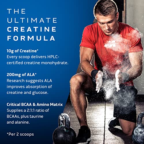 Creatine Monohydrate Powder MuscleTech Cell-Tech Creatine Post Workout