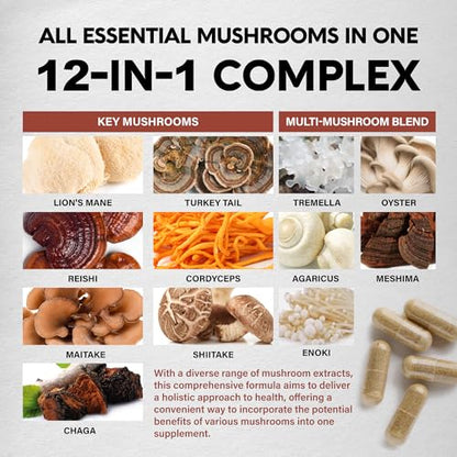 Mushroom Supplement - Organic Lion's Mane | Turkey Tail | Chaga | Cordyceps | Reishi