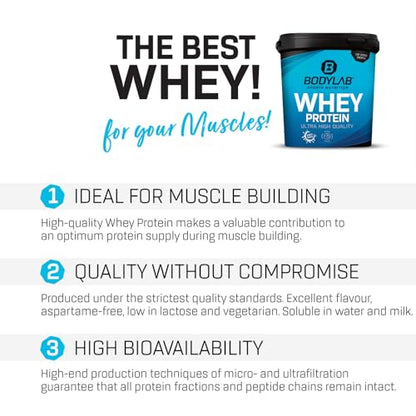 Bodylab24 Whey Protein Powder Milk Chocolate 1kg, Protein-Shake for Your Workout