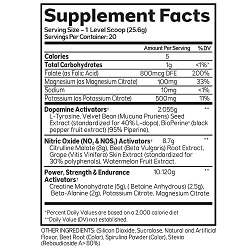 Advanced Molecular Labs - Pre Workout Powder, Increases Drive, Performance Enhancer, Blue Raspberry, 18.34 oz