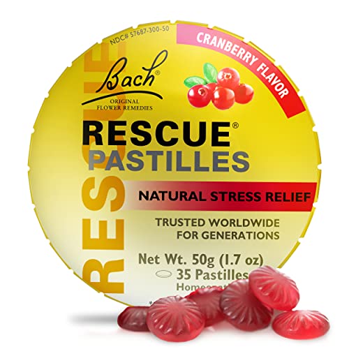 Bach RESCUE PASTILLES, Cranberry Flavor, Natural Stress Relief Lozenges