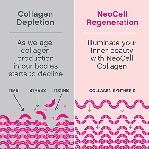 NeoCell Super Collagen Powder, 10g Collagen Peptides per Serving, Gluten Free