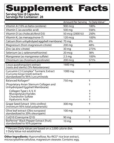 SaltWrap Joint Clinic - Joint Health Multivitamin Supplement - Tendon, Ligament, Cartilage