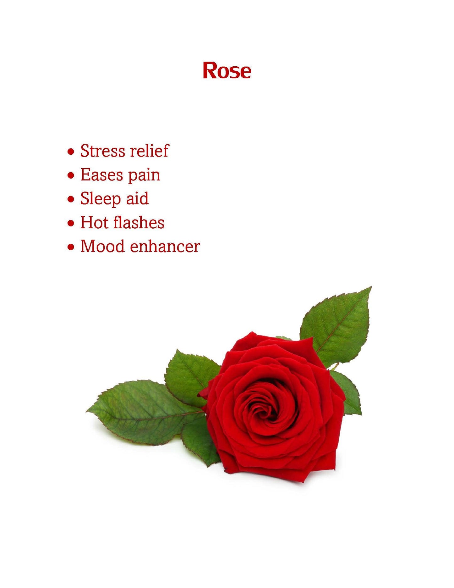 Acupressure Bracelets Stress Relief Rose Oil Infused for Sleep Issues, Menopause, Mood and Pain