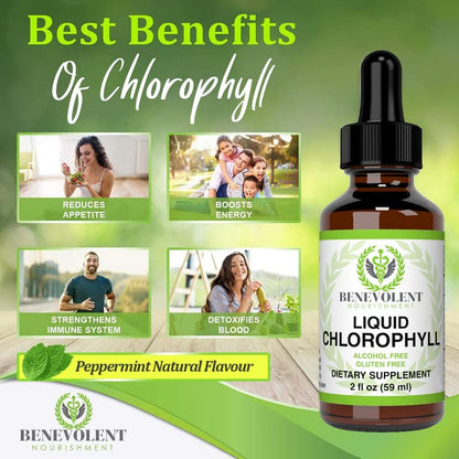 Benevolent Chlorophyll Liquid Drops - 100% Natural + 4X Potency Concentration for Energy