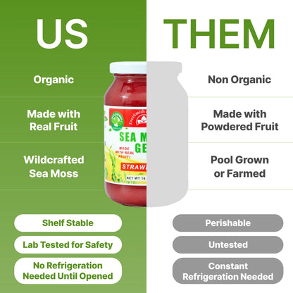 EverSmith Organics - Wildcrafted Irish Sea Moss Gel | Made in USA | Rich in Vitamins