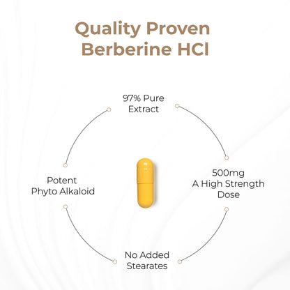 Sandhu's Berberine HCL Supplement 500mg per capsule with 97% Pure Berberis Aristata