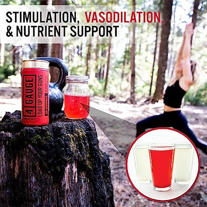 4 Gauge Natural Preworkout Without The Jitters | 30 Servings | Nitric Oxide Booster