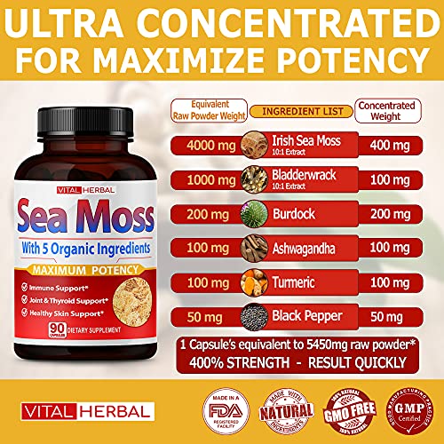 VITAL HERBAL Irish Sea Moss Capsules Equivalent to 5450mg - Maximum Potency