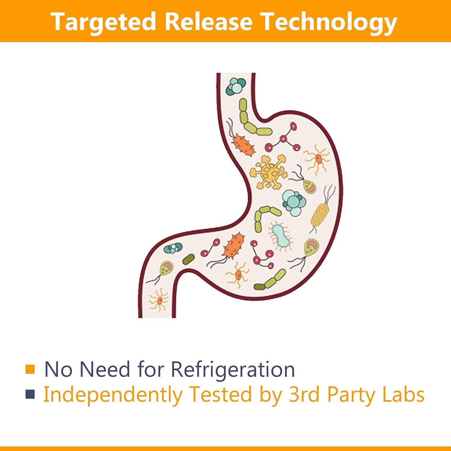 NewRhythm Probiotics 50 Billion CFU 20 Strains, 60 Veggie Capsules, Targeted Release