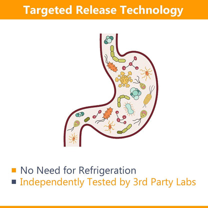 NewRhythm Probiotics 50 Billion CFU 20 Strains, 60 Veggie Capsules, Targeted Release