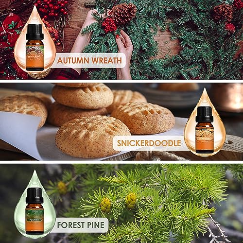 Autumn Fragrance Oil Set, Premium Fall Essential Oils for Diffuser and Candle Making -Cinnamon