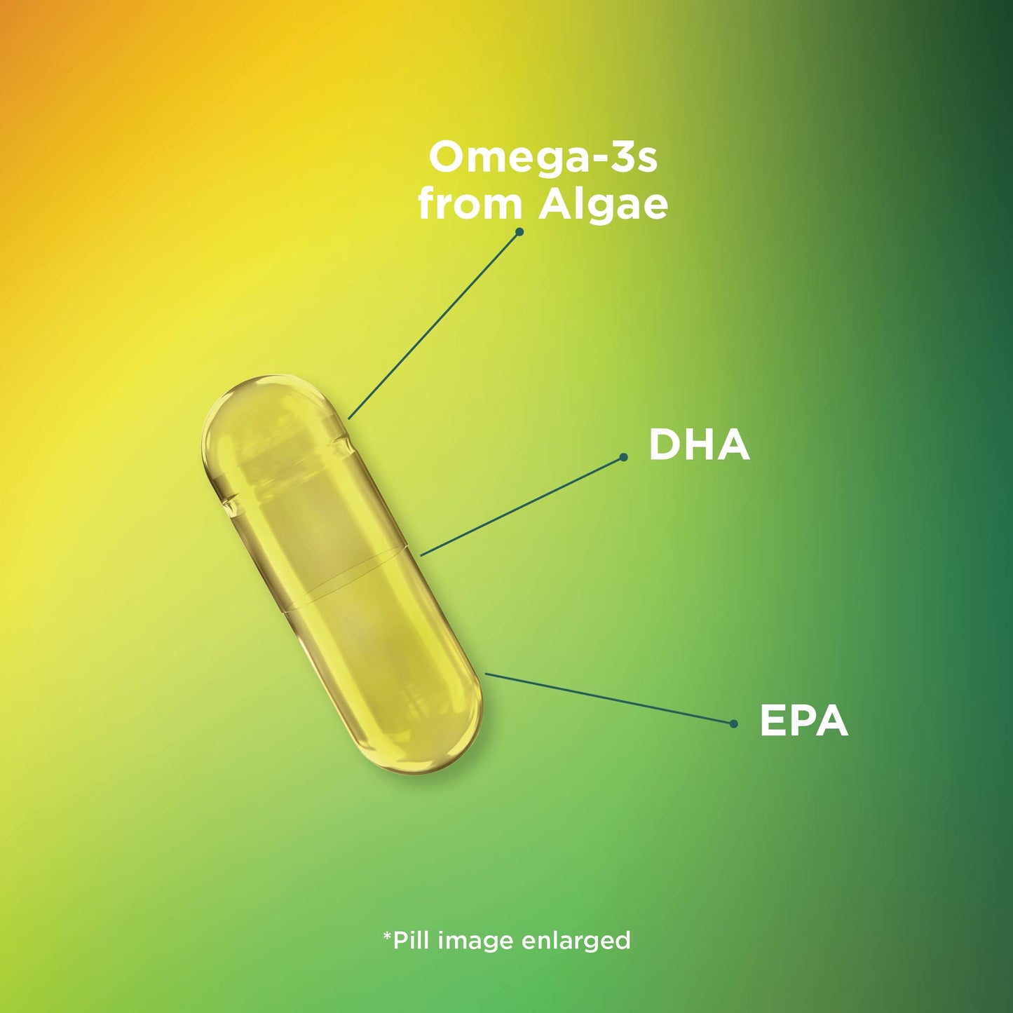 Theralogix PhytoLife Omega - 90-Day Supply - Vegan Algae Omega-3 Supplement