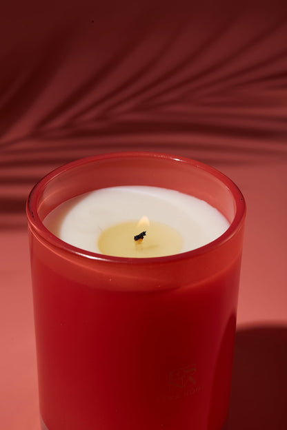 ESNA HOME Luxury Scented Candle Set I Aromatherapy Candles I Holiday Scented Candles Gift Set