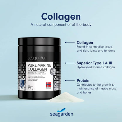 Seagarden Pure Marine Collagen Powder (Type I & III) | Wild-Caught Arctic Cod