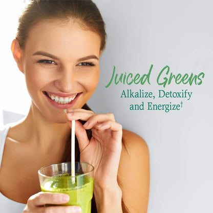 Garden of Life Raw Organic Perfect Food Alkalizer & Detoxifier Juiced Greens Superfood