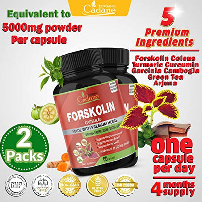 2 Packs Organic Forskolin Supplements Capsules 5000mg with Turmeric, Arjuna, Garcinia