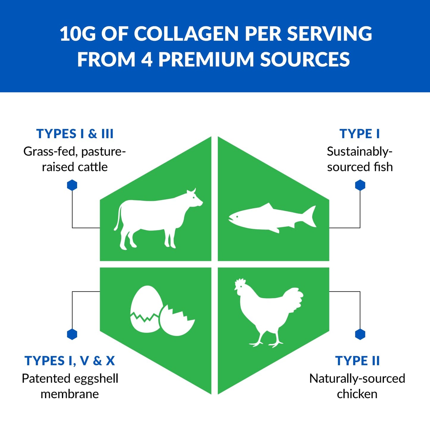 BioTrust Ageless Multi Collagen Peptides Powder – 5 Types (I, II, III, V, X)