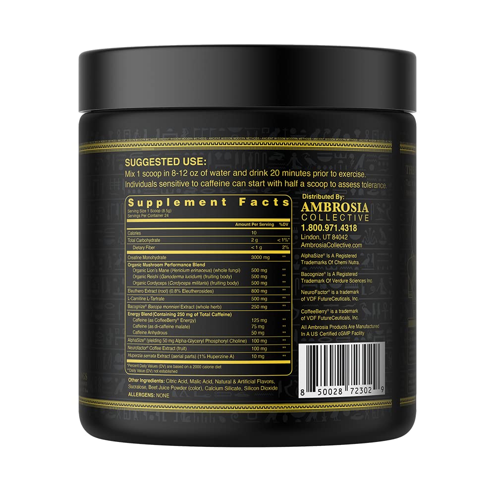 Ambrosia Kinetic Organic Preworkout, Mushroom Enhanced Natural Pre Workout Supplement