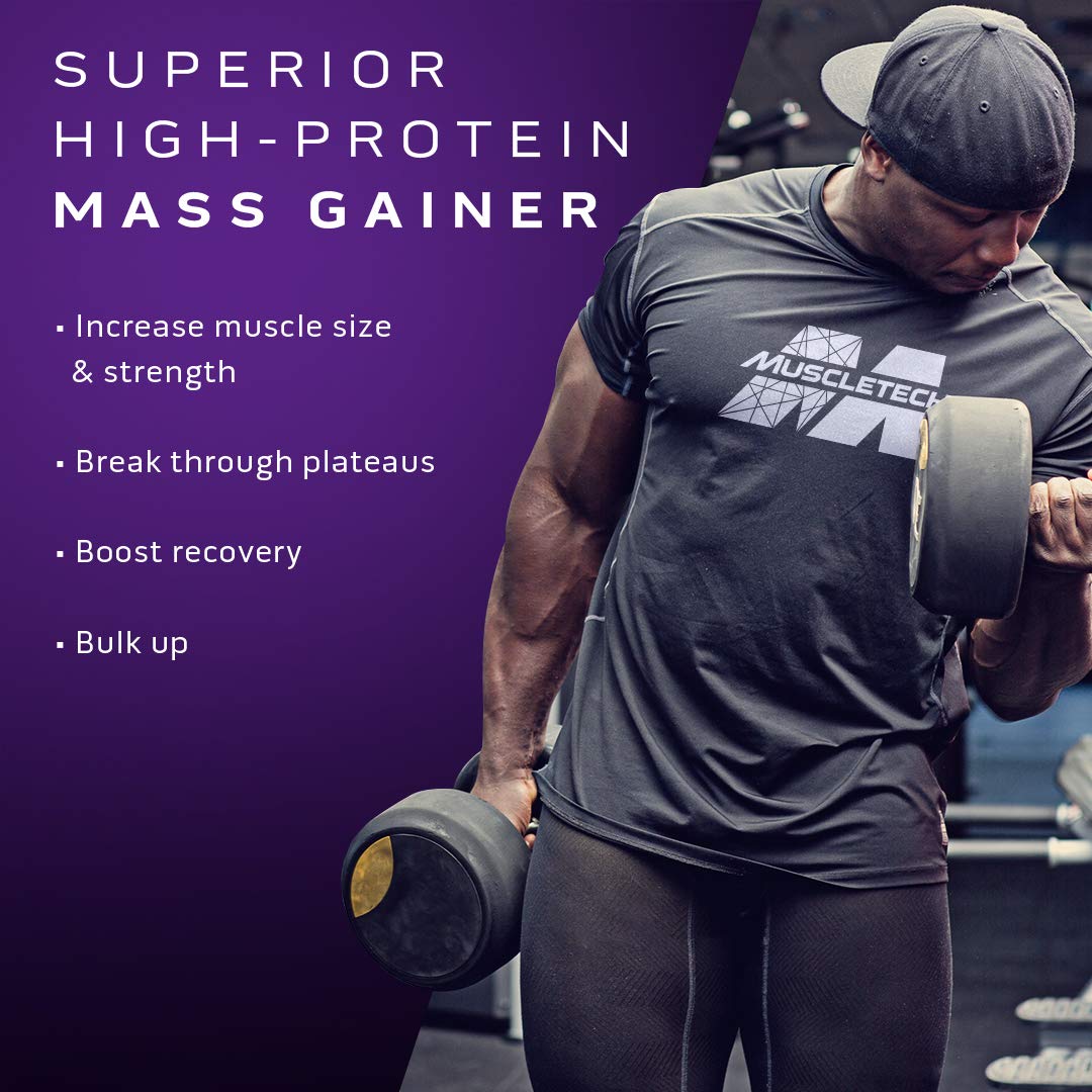 Mass Gainer MuscleTech 100% Mass Gainer Protein Powder Protein Powder for Muscle