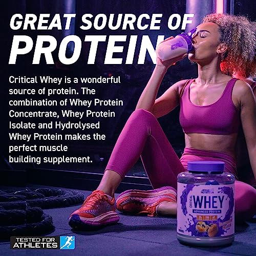 Applied Nutrition Critical Whey Protein Powder 450g - High Protein Powder, Protein Milkshake