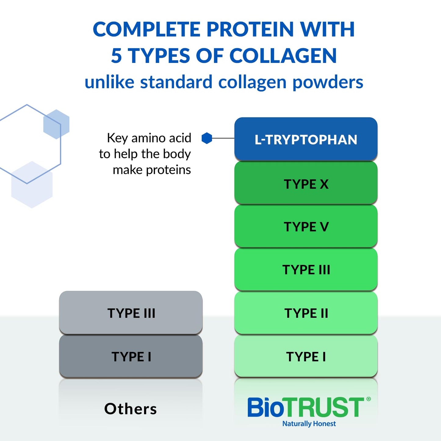 BioTrust Ageless Multi Collagen Protein Powder – 5 Collagen Types (I, II, III, V, X)