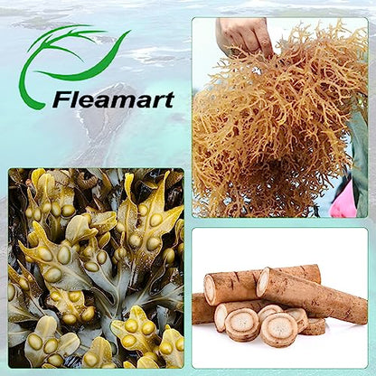 Fleamart 2 Pack Irish Sea Moss Capsules 120ct Raw Organic Sea Moss Wildcrafted Bladder